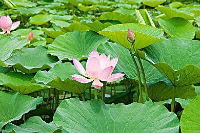 《怪奇物语》男星主演了一个恐怖游戏 2023年发售